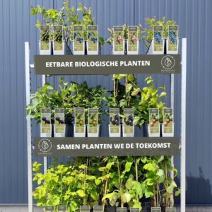 Fruitstruiken en inheemse heesters 120 stuks Koperwiek